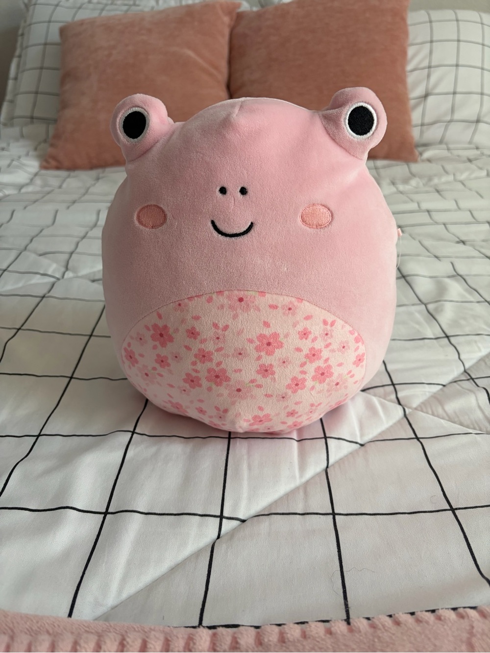 Kline the cherry blossom frog Squishmallow  8”